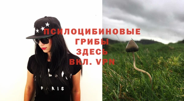 дурь Армянск