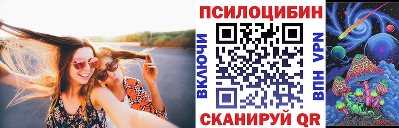 цены наркотик  Ишим  OMG ТОР  Галлюциногенные грибы Psilocybe 